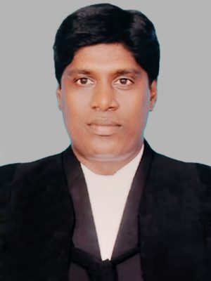 WhatsApp Image 2025-05-05 at 15.46.04_2750333a